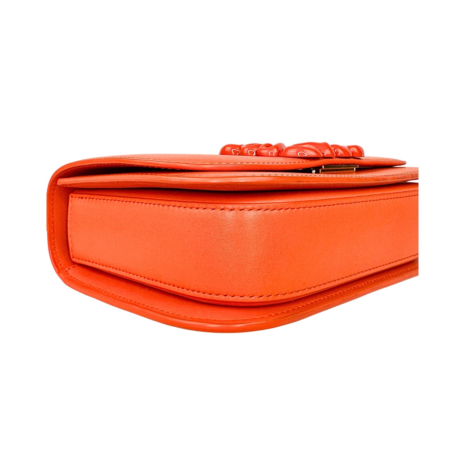 Loewe Goya Shoulder Bag
