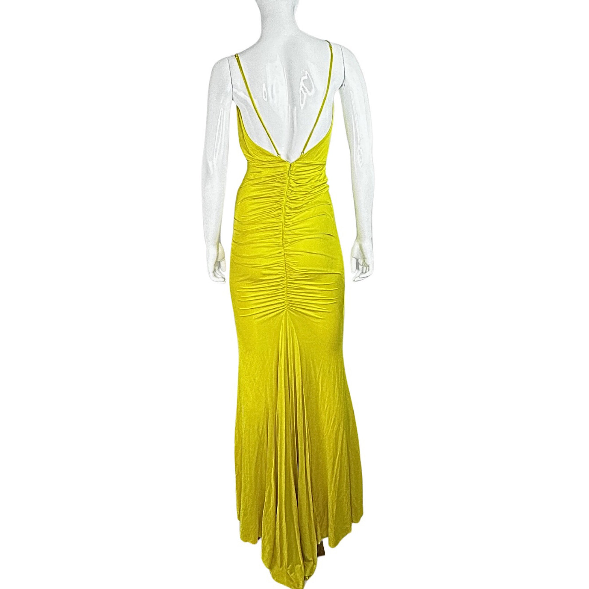 Elisabetta Franchi Carpet Maxi Dress