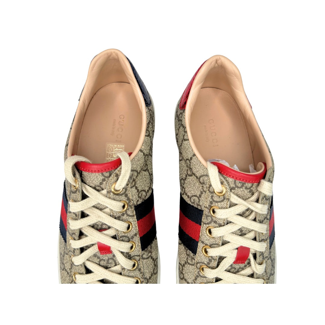 Gucci Ace Web Supreme Sneakers
