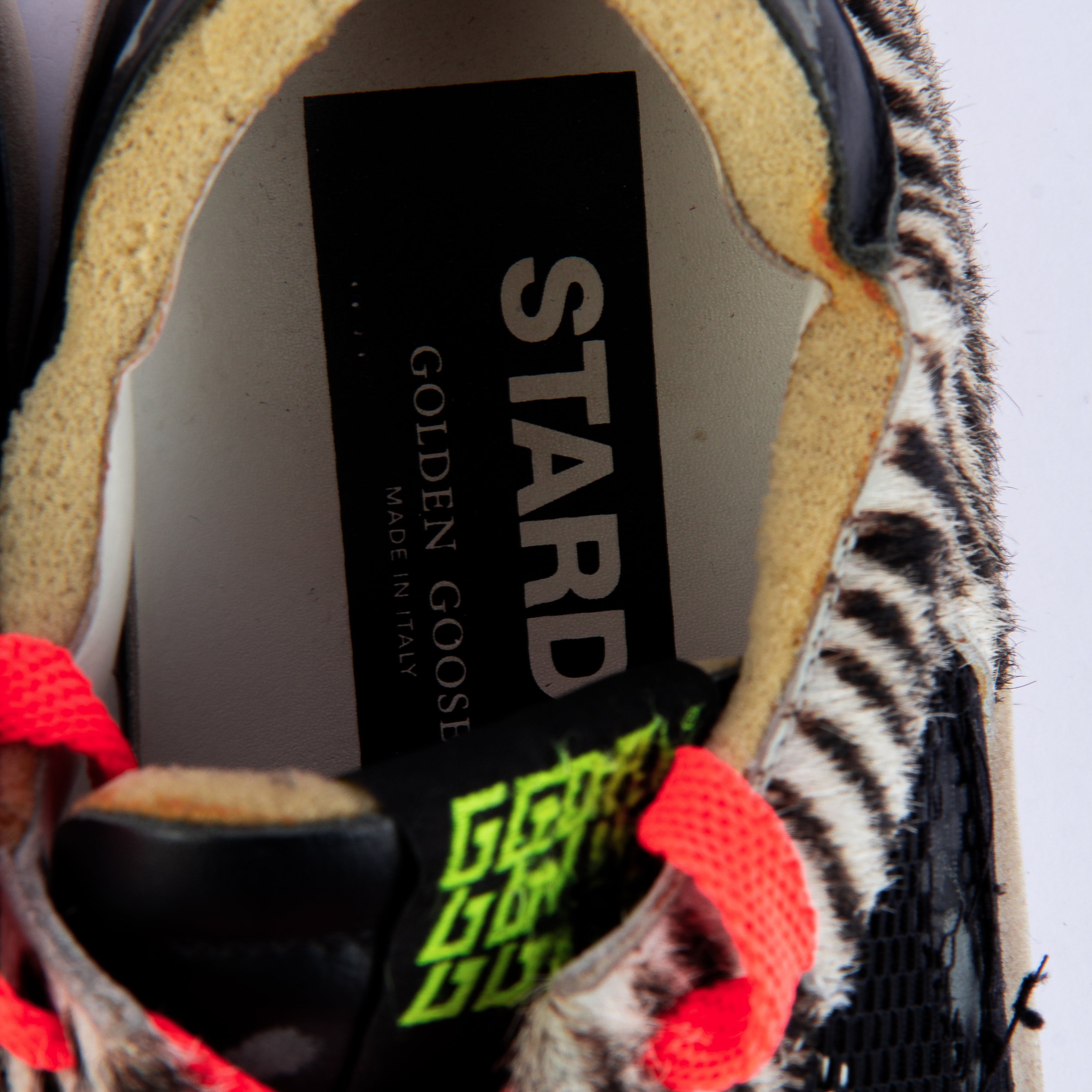 Golden Goose Stardan Low Top Sneakers