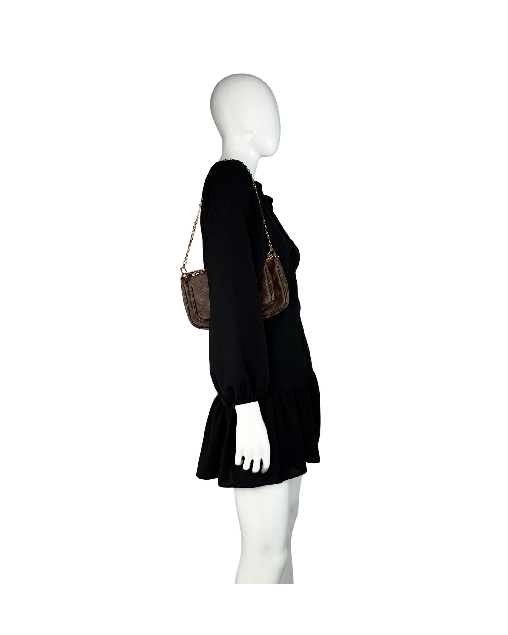 Louis Vuitton Monogram Multi Pochette Accesoires Bag