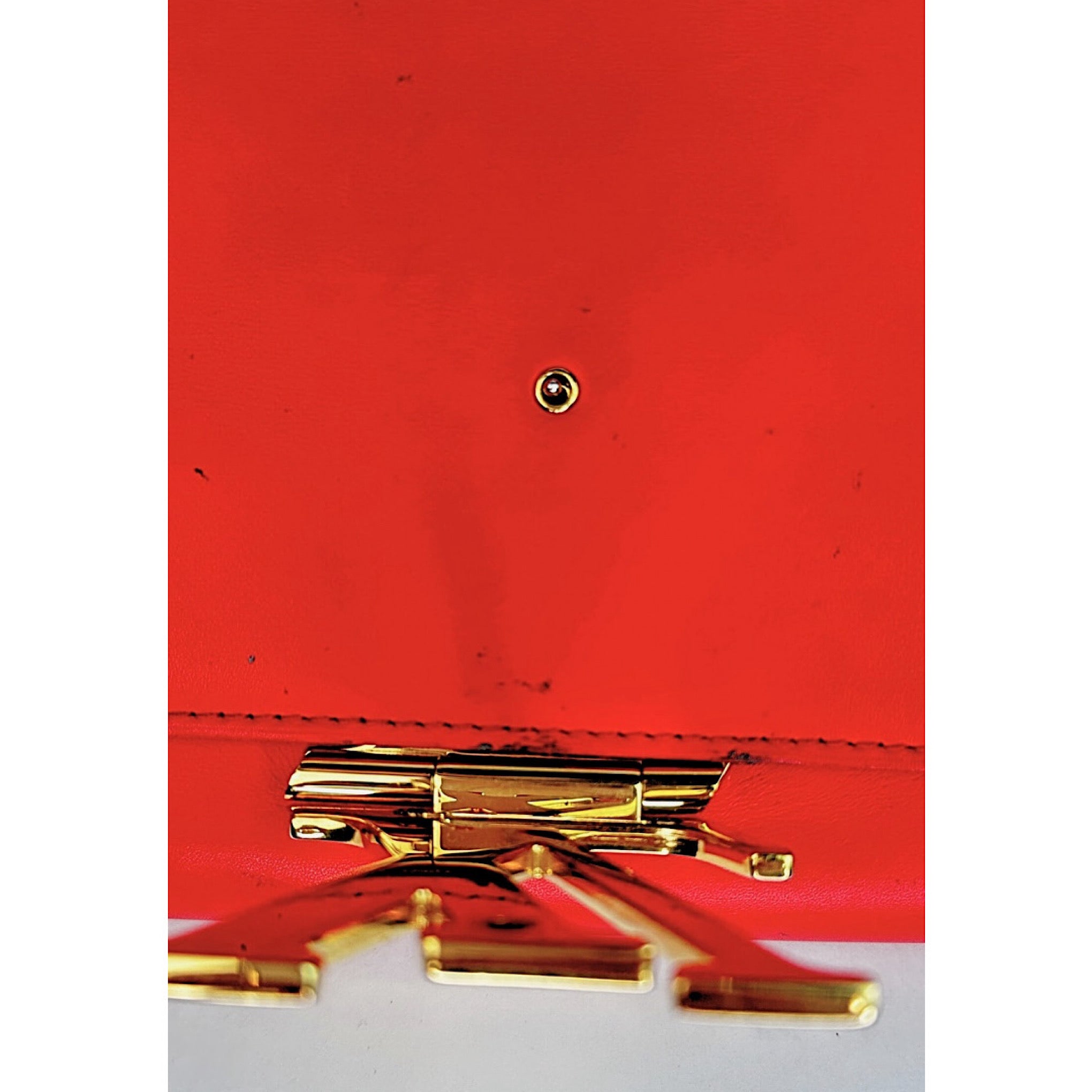 Louis Vuitton Louise Crossbody Bag