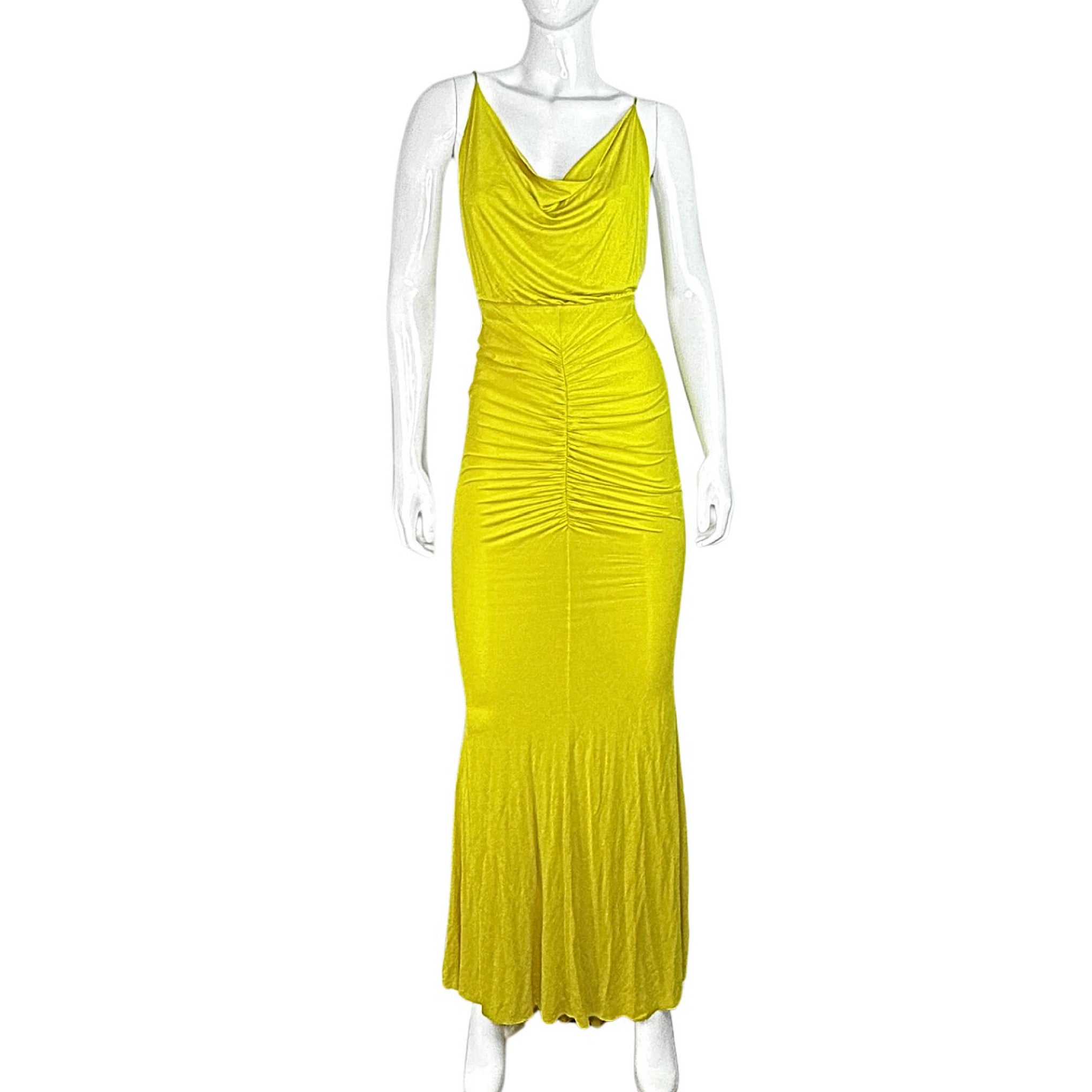 Elisabetta Franchi Carpet Maxi Dress