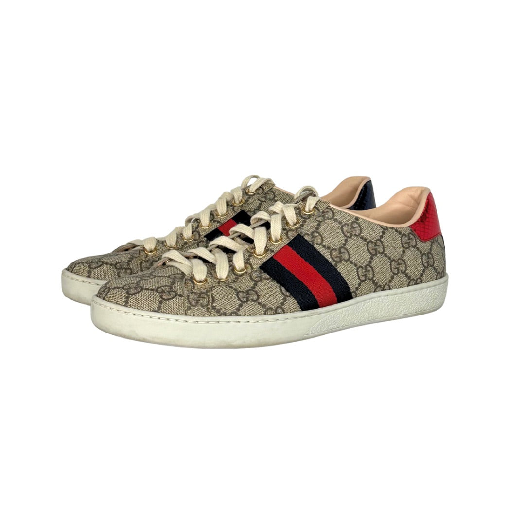 Gucci Ace Web Supreme Sneakers