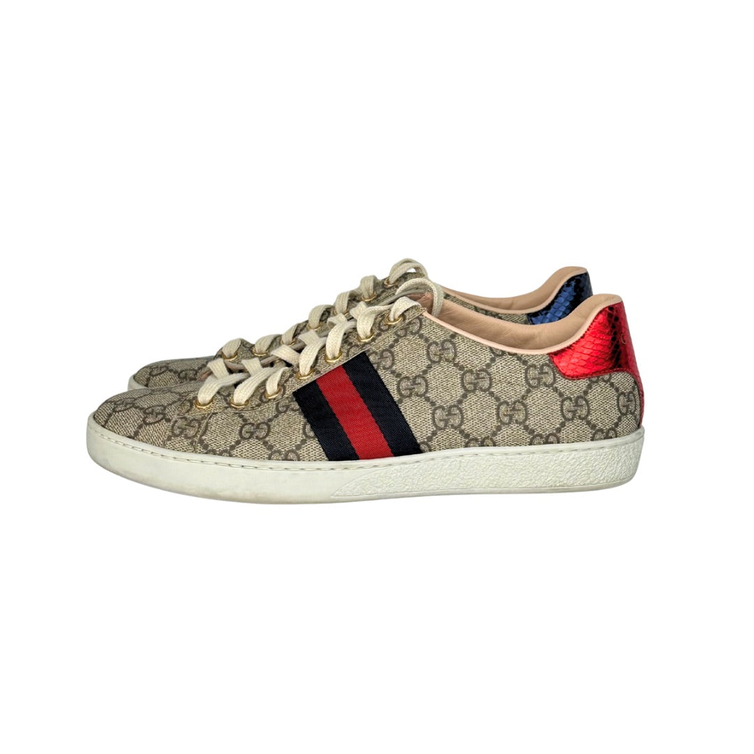 Gucci Ace Web Supreme Sneakers