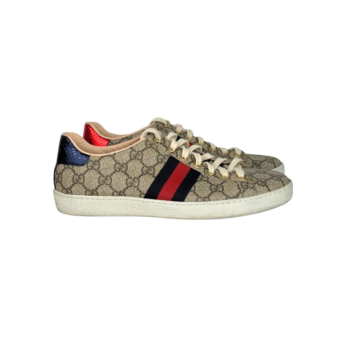 Gucci Ace Web Supreme Sneakers