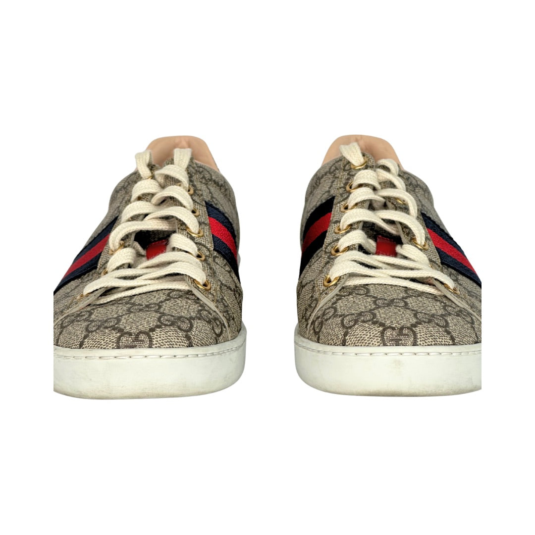 Gucci Ace Web Supreme Sneakers