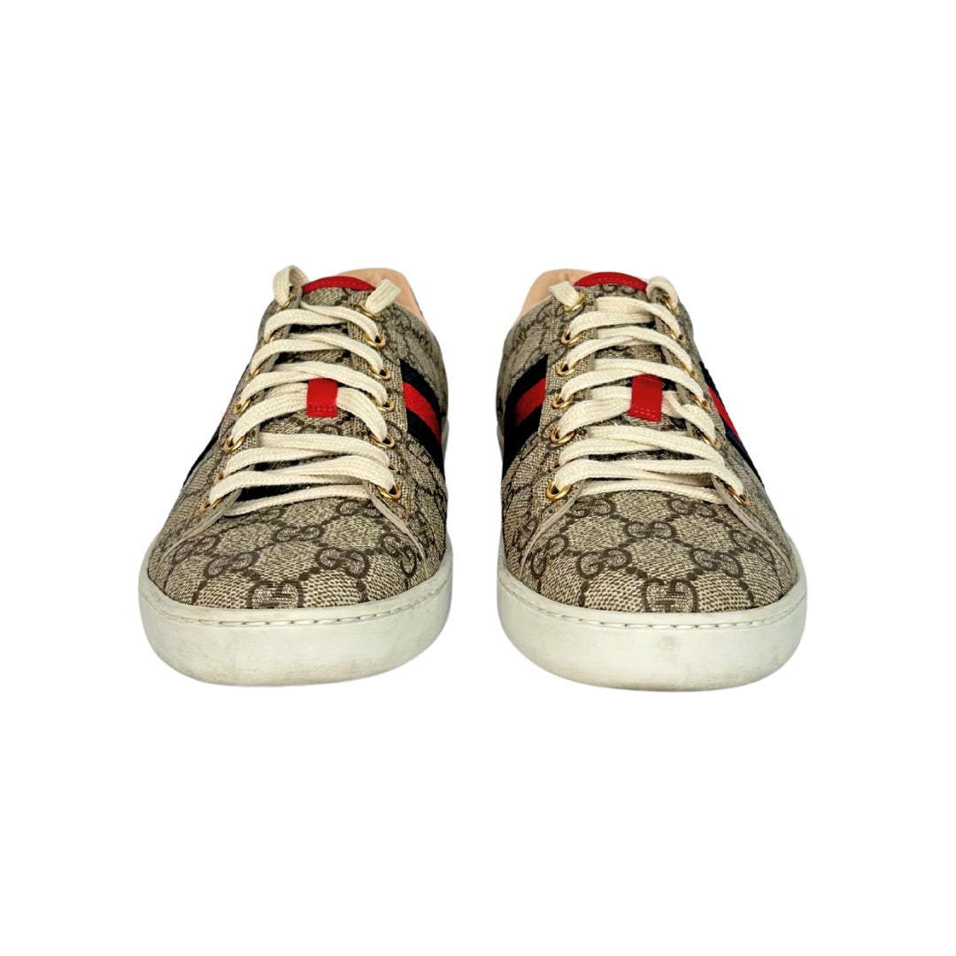Gucci Ace Web Supreme Sneakers